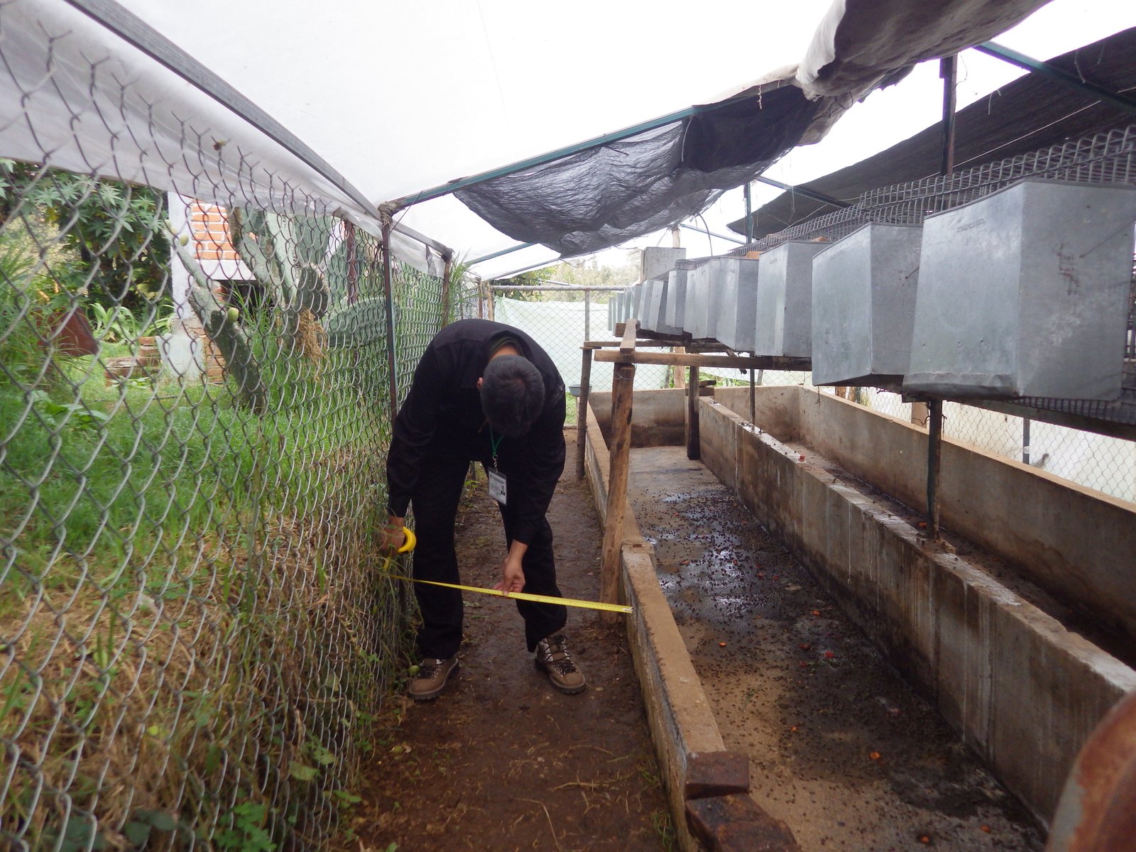 Elementos Esenciales