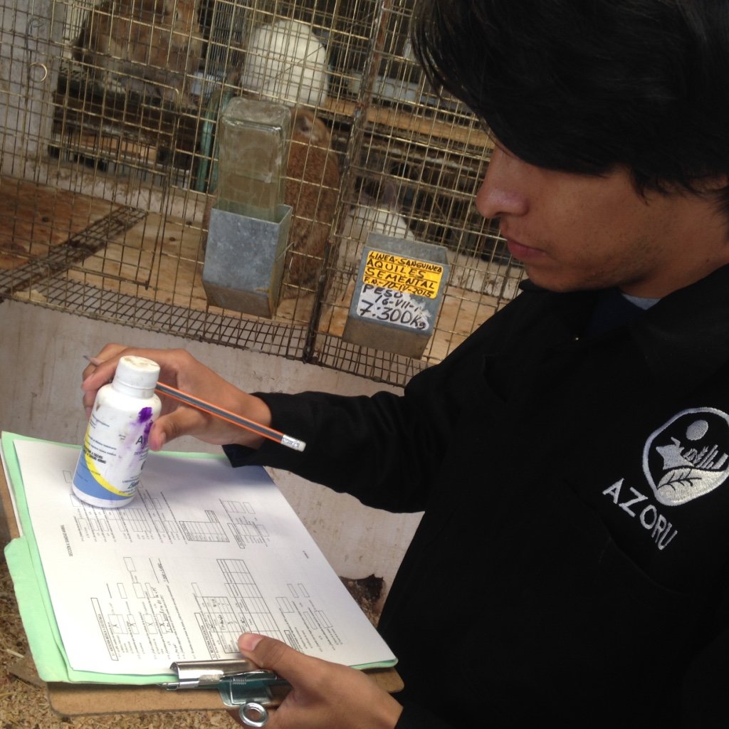 Taller de capacitación del censo