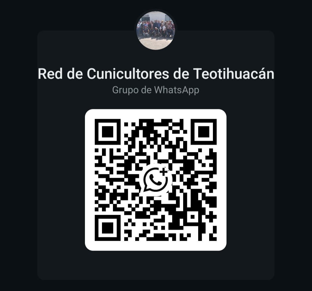 QR Chat Regional Teotihuacán
